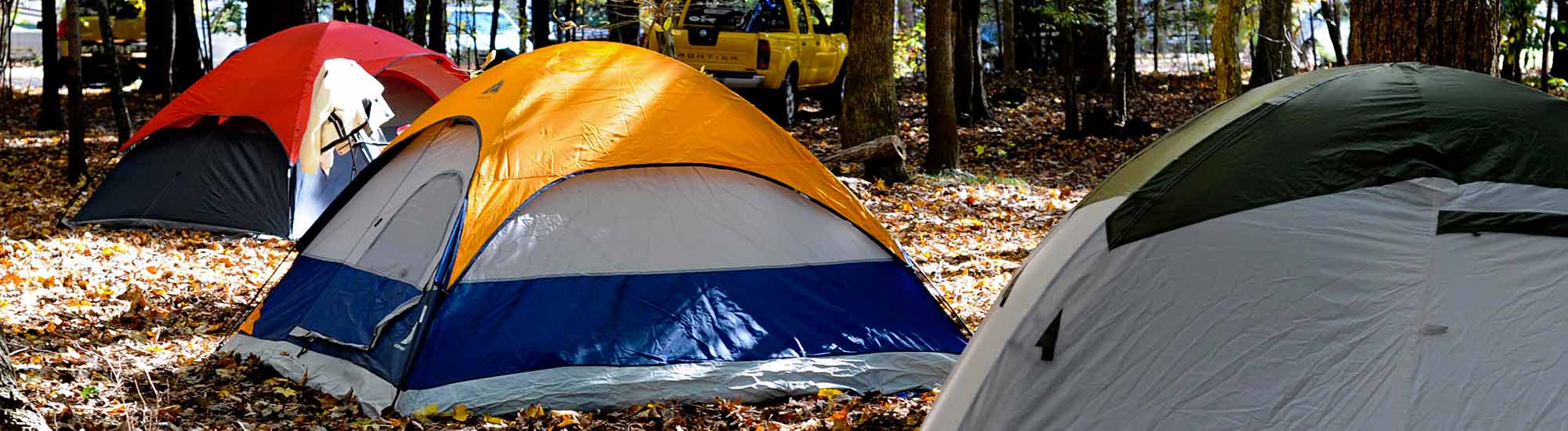 Three colorful tents in a forest.