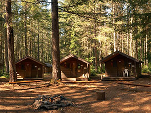 Three tiny cabins in the forest.